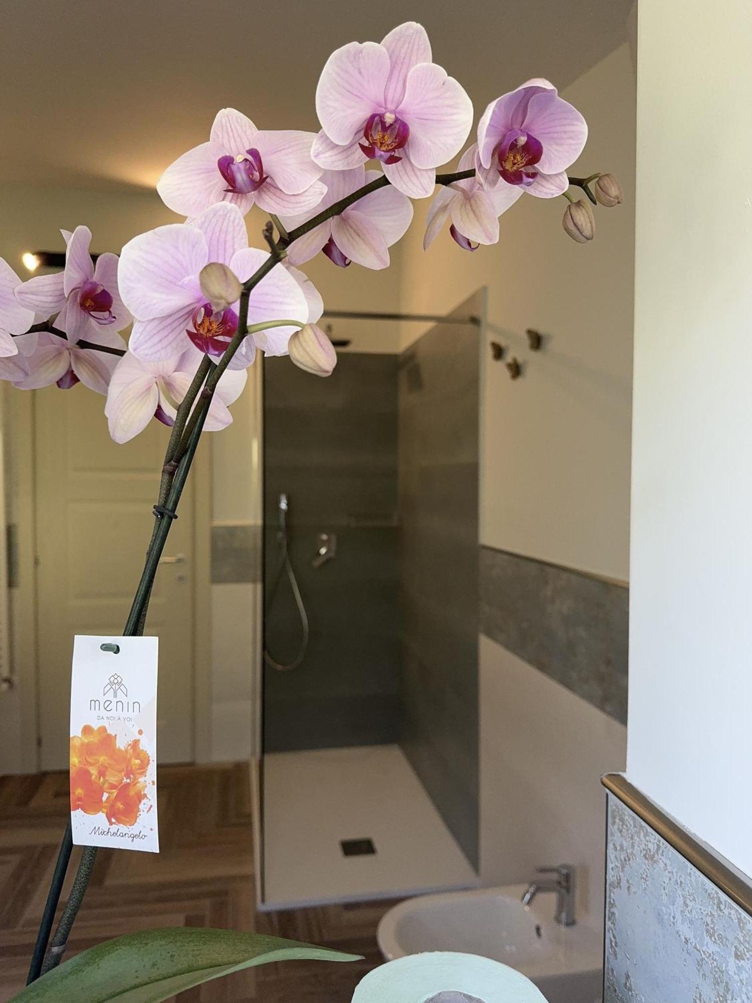 Villa C Luxury Estate Sant'Antonio Abate Room photo